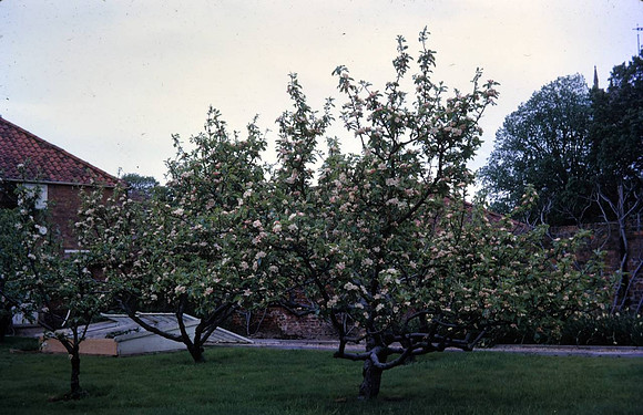 SK-00110
