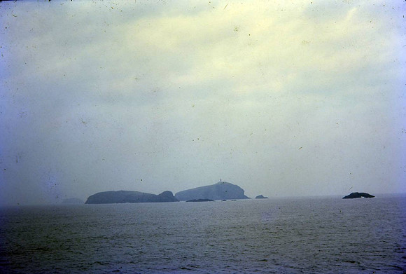 SK-00061